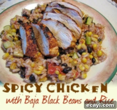 Chipotle Baja Grilled Chicken Platter 2 Deliciously seasoned grilled chicken with a side of Baja black beans and rice