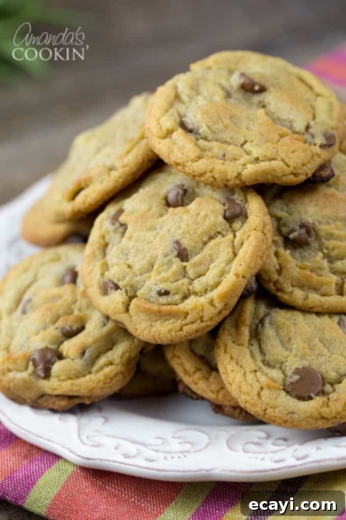Cinnamon Kissed Chocolate Chip Cookies 2 Amazing cinnamon chocolate chip cookies recipe