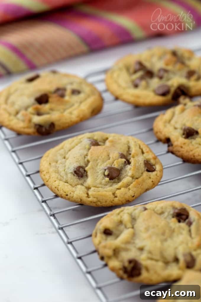Cinnamon Kissed Chocolate Chip Cookies 3 Perfectly soft and chewy cinnamon chocolate chip cookies!