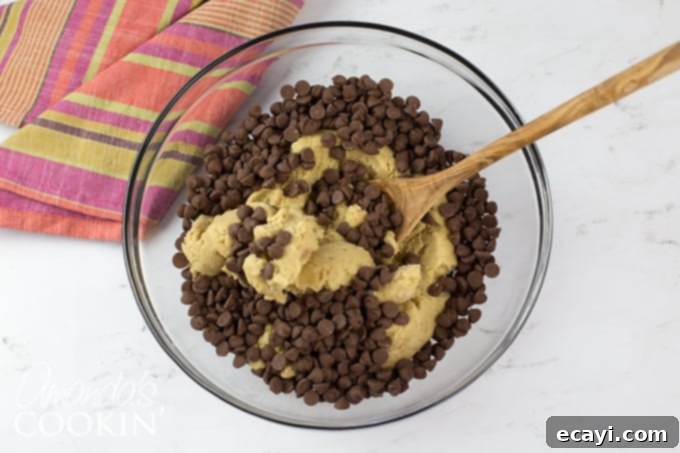 Cinnamon Kissed Chocolate Chip Cookies 5 dough in a bowl with chocolate chips