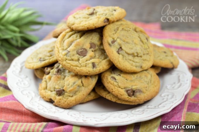 Cinnamon Kissed Chocolate Chip Cookies 7 Cinnamon Chocolate Chip cookies!