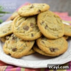 Cinnamon Kissed Chocolate Chip Cookies 8 Chocolate Chip Cookies on a plate