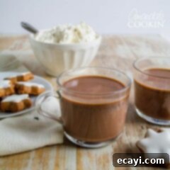 Champurrado: Mexico's Velvety Masa Chocolate 2 cup of mexican hot chocolate