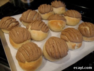 Conchas: Mexican Sweet Bread Delight 5 A close up photo of concha resting on a pan, showing the detailed shell pattern scored into the sugar topping before baking.