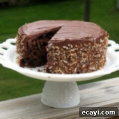 Unexpected Chocolate Kraut Delight 2 Chocolate Sauerkraut Cake