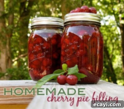 The Best Homemade Cherry Pie Filling 2 How to make homemade cherry pie filling in jars