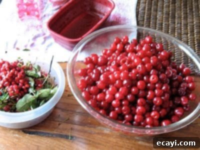 The Best Homemade Cherry Pie Filling 11 A large bowl filled with fresh, pitted sour cherries