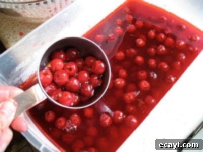 The Best Homemade Cherry Pie Filling 12 Pitted cherries soaking in water with lemon slices