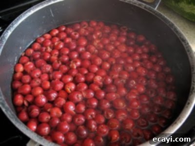 The Best Homemade Cherry Pie Filling 13 Blanching fresh sour cherries in boiling water