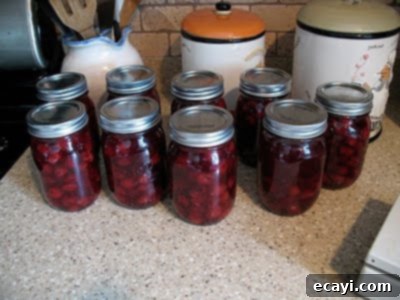 The Best Homemade Cherry Pie Filling 17 Finished cherry pie filling stored in glass jars