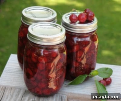 The Best Homemade Cherry Pie Filling 18 Two jars of homemade cherry pie filling, with a close-up on the vibrant red fruit