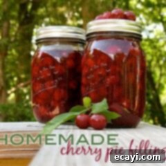 The Best Homemade Cherry Pie Filling 19 A photo of two jars of homemade cherry pie filling.