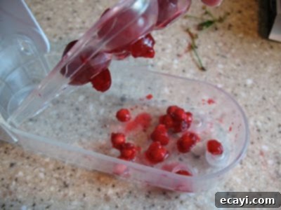 The Best Homemade Cherry Pie Filling 8 Demonstrating how the cherry pitter works