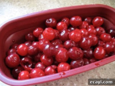 The Best Homemade Cherry Pie Filling 9 Pitted cherries collected in a colander that came with the pitter