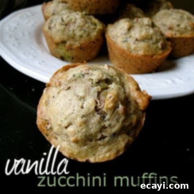 Vanilla-Kissed Zucchini Muffins 2 A close up photo of a vanilla zucchini muffin with a plate of them in the background.