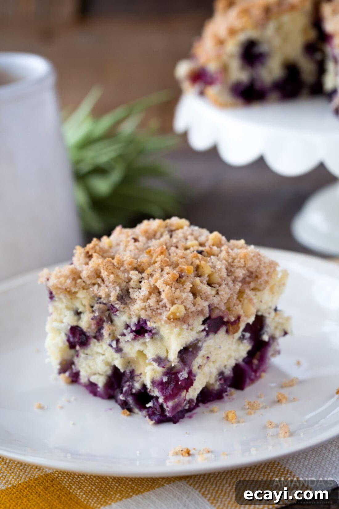Blueberry Breakfast Cake Slice - The Ultimate Coffee Cake Experience A delectable slice of blueberry breakfast cake on a pristine white plate, showcasing its golden crumb and juicy blueberries.