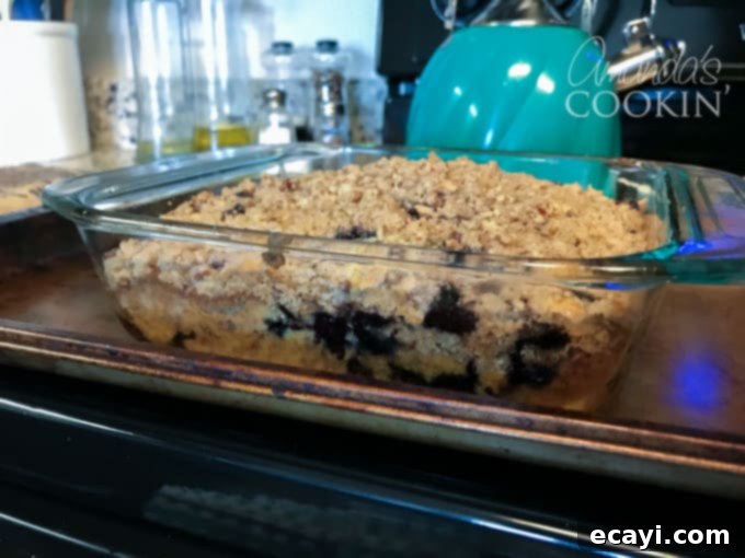 Golden Blueberry Morning Bake 5 A freshly baked blueberry breakfast cake resting in a glass pan, ready for cooling.