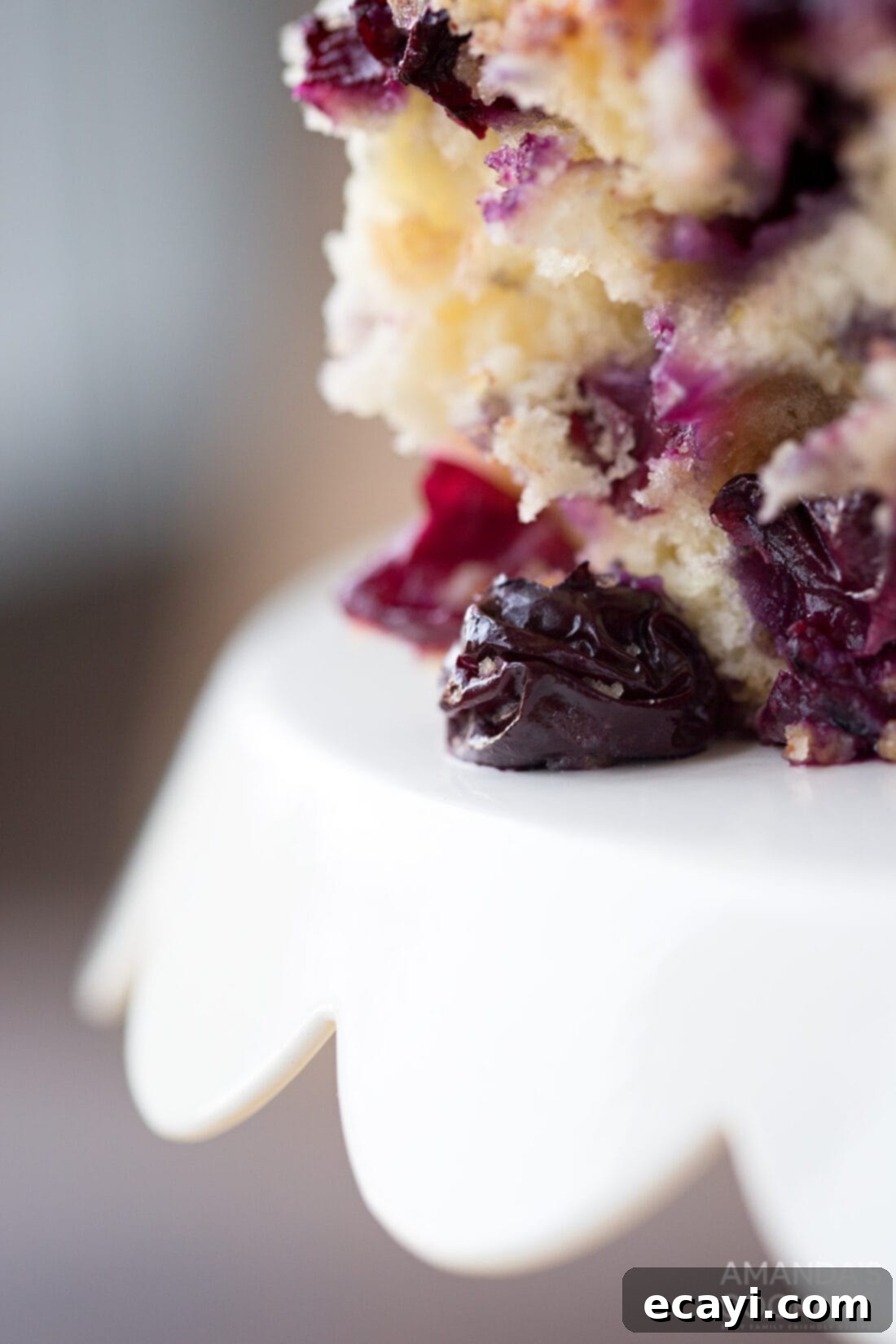 Close-up of Juicy Blueberry Coffee Cake with Streusel Extreme close-up of the crumb topping and glistening blueberries in the breakfast cake.