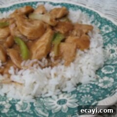 Easy Chicken and Scallion Stir-Fry 2 Chicken Scallion Stir Fry, a simple and quick recipe with a savory sauce, perfect for busy evenings.