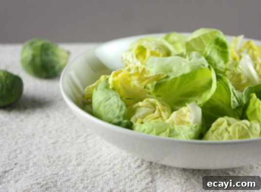 Brussels Sprouts Brussels Sprouts