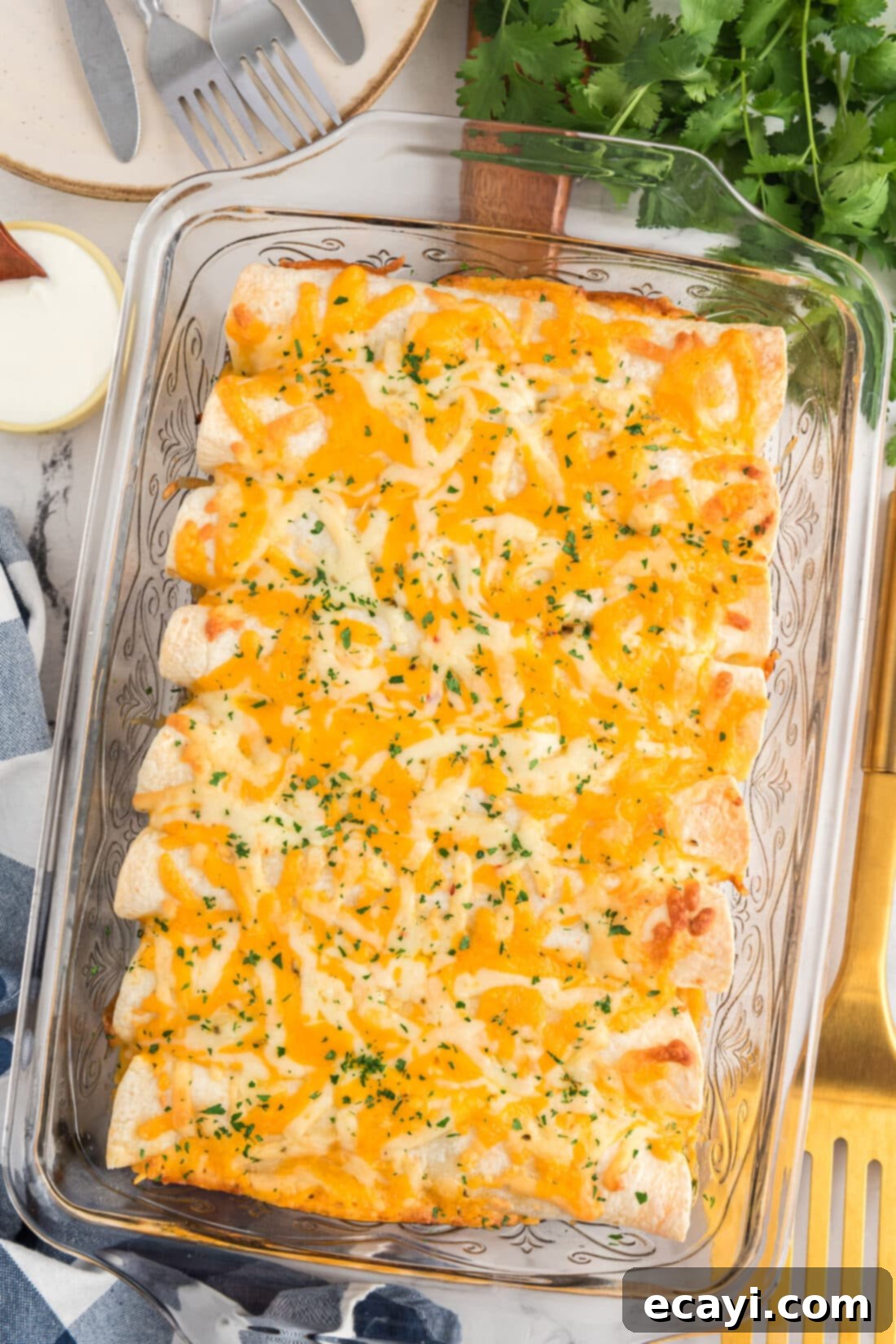 Zesty Chicken Chile Enchiladas 2 Golden-brown shredded chicken and chile enchiladas baked to perfection in a clear glass baking dish, ready to be served.