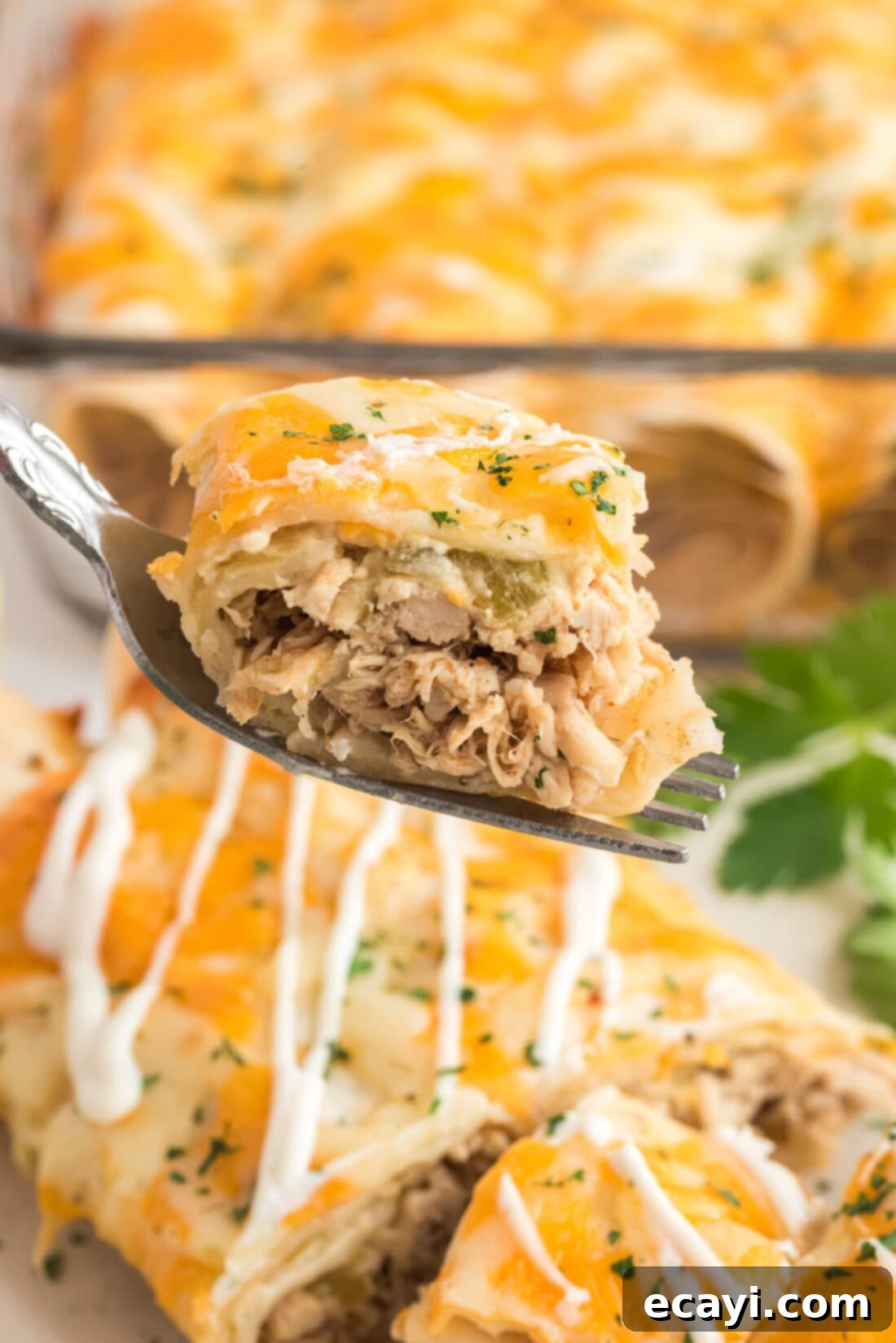Zesty Chicken Chile Enchiladas 3 A fork lifts a savory bite of shredded chicken and chile enchilada, revealing the rich filling and melted cheese.