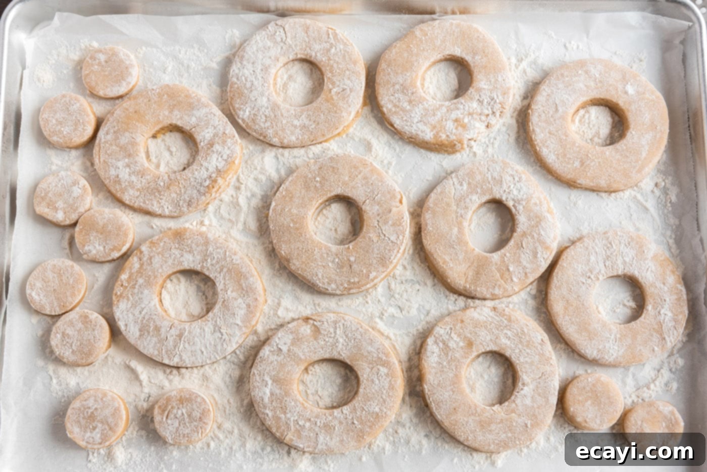 Apple Cider Doughnuts 19 cut donut shapes and donut holes arranged on a baking sheet, ready for the refrigerator