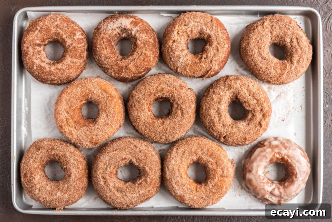 Apple Cider Doughnuts 27 cinnamon sugar coated donuts displayed on a baking sheet