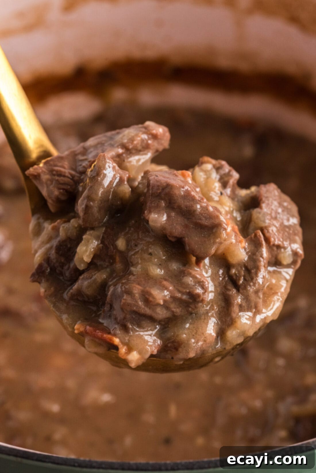 Hearty Beef Carbonnade 2 Ladle of rich Beef Carbonnade being lifted from a rustic pot