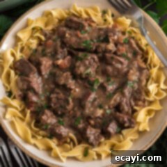 Hearty Beef Carbonnade 6 Close up photo of Beef Carbonnade served over egg noodles, highlighting the tender beef and rich sauce