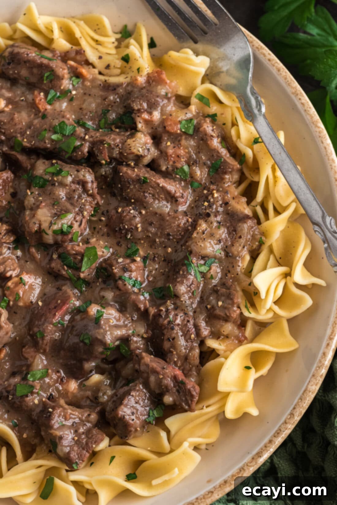 Hearty Beef Carbonnade 3 Overhead photo of a serving of Beef Carbonnade with noodles on a plate