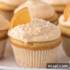 Orange Dream Swirl Cupcakes 16 Close up photo of a perfectly frosted Orange Creamsicle Cupcake with a small orange wedge garnish.