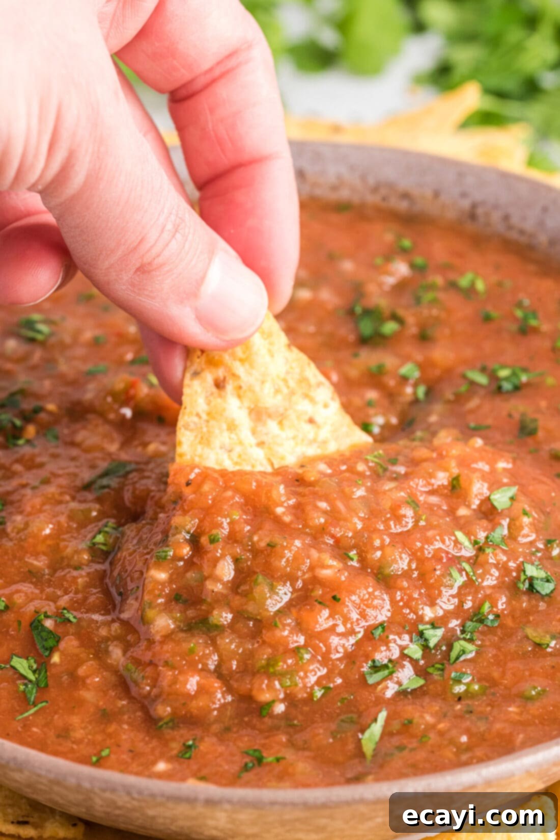 Perfect Restaurant Salsa 7 chip dipped into Restaurant Style Salsa