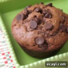 Decadent Double Chocolate Muffins 2 A close up photo of a chocolate chocolate chip muffin in a green dish.