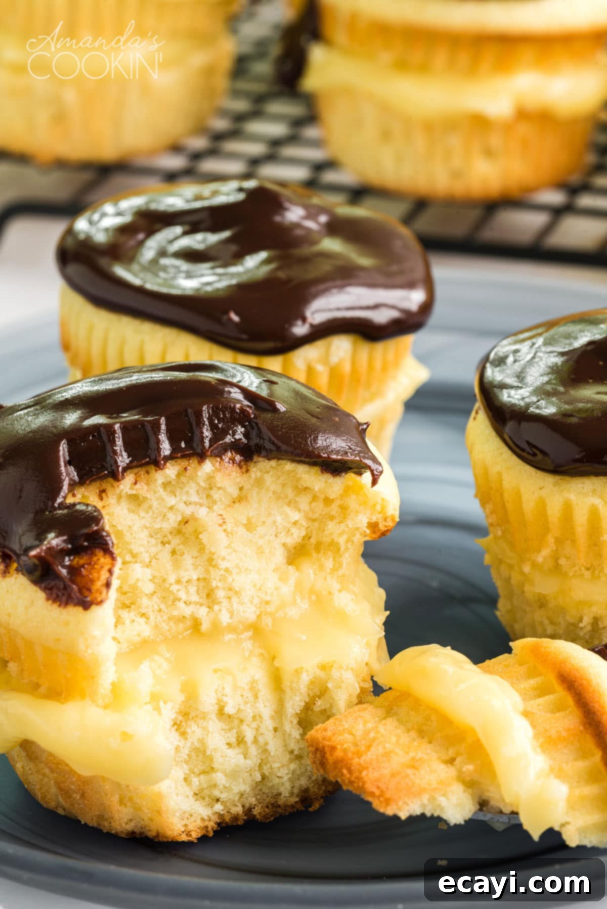 Ready-to-Eat Boston Cream Cupcake A Boston Cream Pie cupcake with a bite taken out, showing the filling and ganache