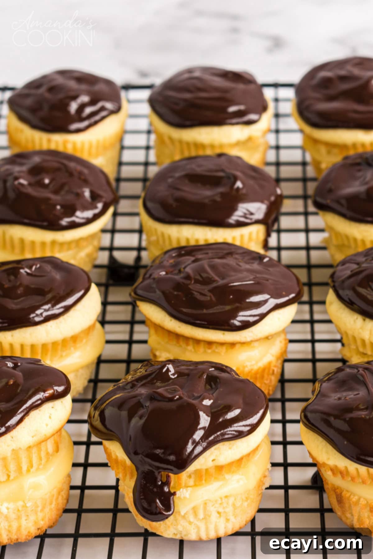 Freshly Baked Boston Cream Cupcakes Cooling Several freshly baked Boston Cream Cupcakes cooling on a wire rack