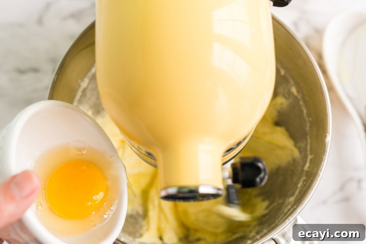 Mixing Wet Ingredients for Cake Batter Adding an egg to the butter and sugar mixture in a stand mixer bowl