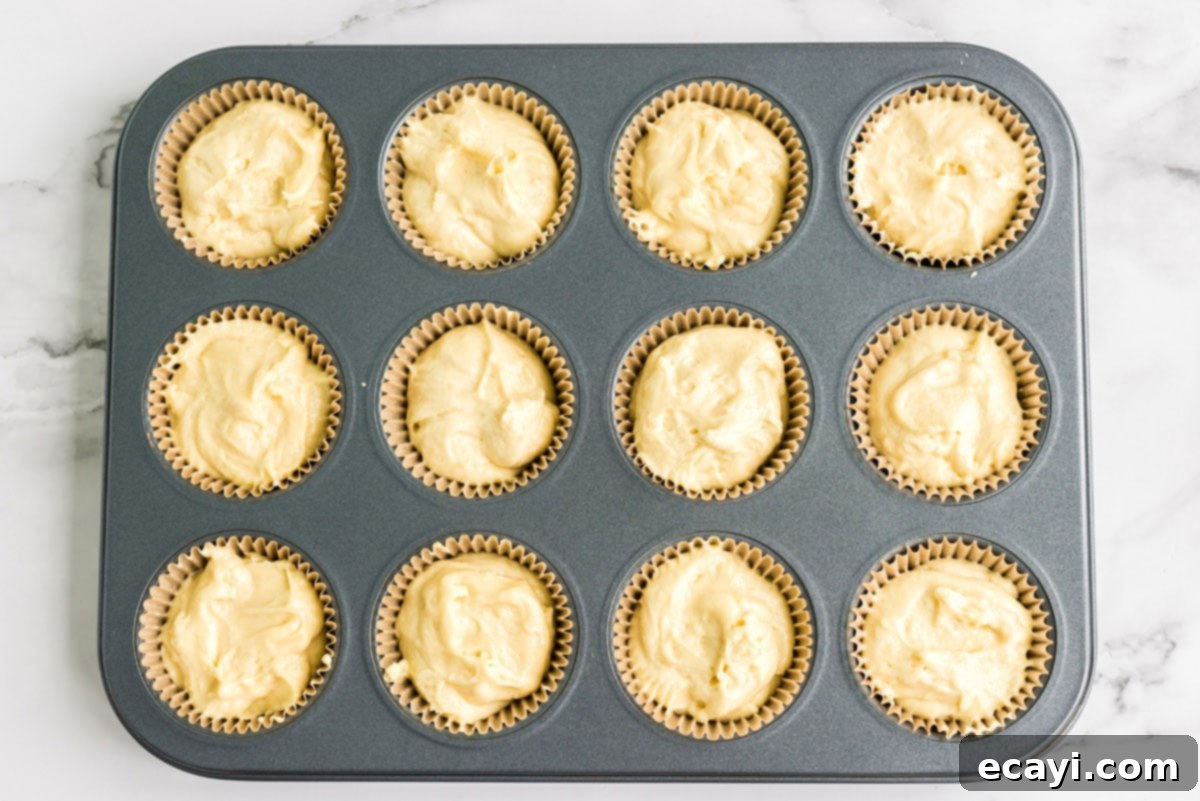 Cupcake Batter in Muffin Pan Muffin pan filled with cupcake batter ready for baking