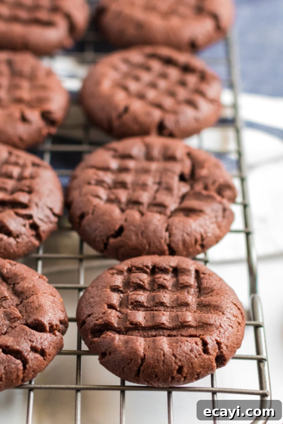 The Ultimate Chocolate Peanut Butter Cookies 3 Close-up of freshly baked Chocolate Peanut Butter Cookies cooling on a wire rack.