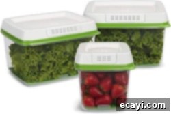 Delicious Gifts for Food Lovers 15 Storage containers product image, showcasing the Freshworks design