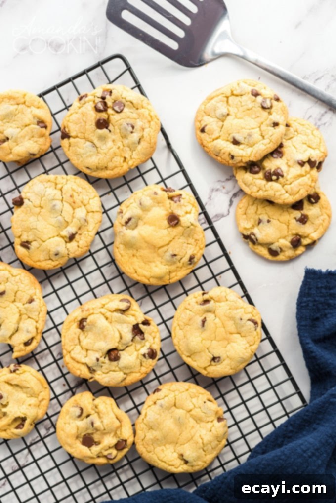 A cooling rack filled with freshly baked Chocolate Chip Pudding Cookies, showing their golden brown perfection. Chocolate Chip Pudding Cookies cooling on a wire rack, perfectly golden brown and slightly crisp at the edges