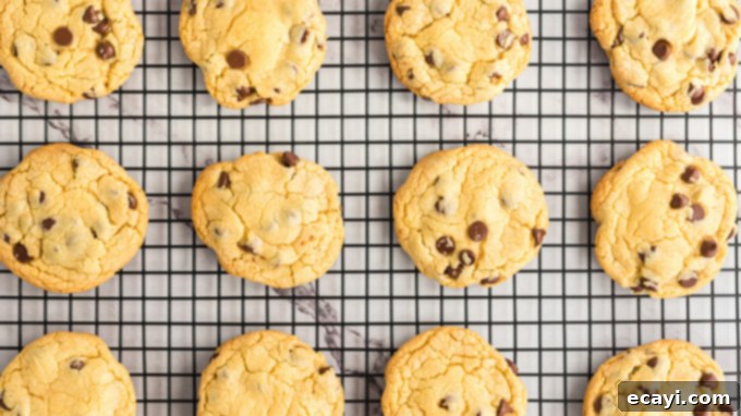A cooling rack laden with perfectly baked Chocolate Chip Pudding Cookies, embodying ultimate cookie comfort. Freshly baked Chocolate Chip Pudding Cookies cooling on a wire rack, ready to be enjoyed