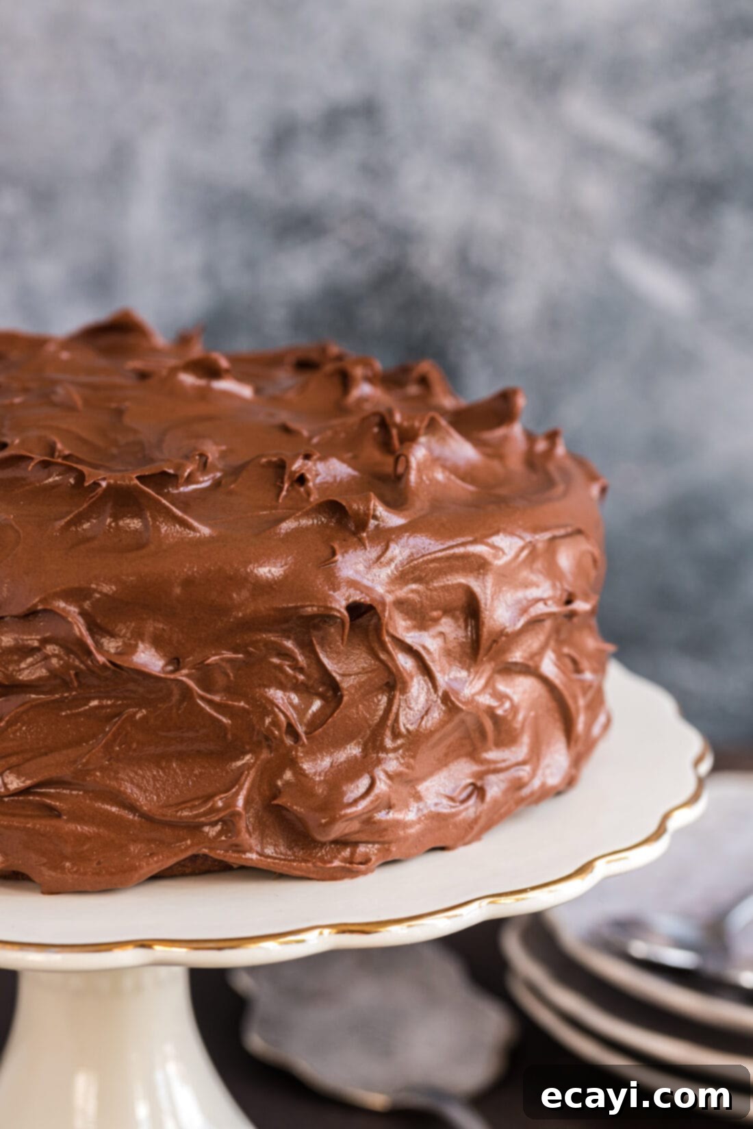 Decadent Chocolate Fudge Delight 26 Nigella's Chocolate Fudge Cake on a stand