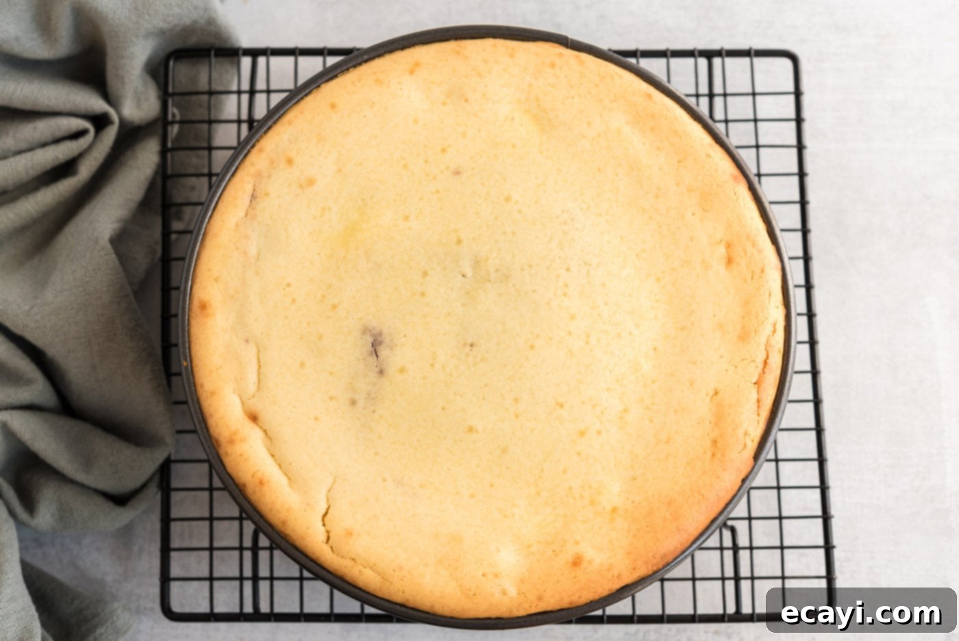 Regal Trifle Cheesecake 12 The baked English Trifle Cheesecake cooling in its springform pan on a wire rack.