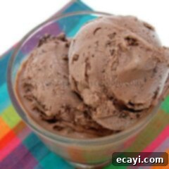 Decadent Double Chocolate Dream 2 A close up photo of double chocolate chip ice cream in a clear dish.