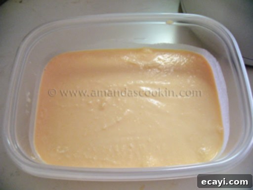 Creamy Orange Bliss 10 A plastic container filled with freshly made homemade orange ice cream, firmly frozen and ready to scoop and serve.