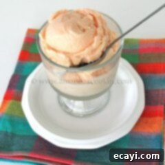 Creamy Orange Bliss 11 Orange Ice Cream