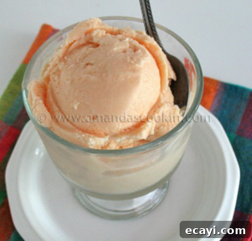 Creamy Orange Bliss 5 A close-up photo of a serving of homemade orange ice cream in a clear glass dish, highlighting its smooth, creamy texture and vibrant color.