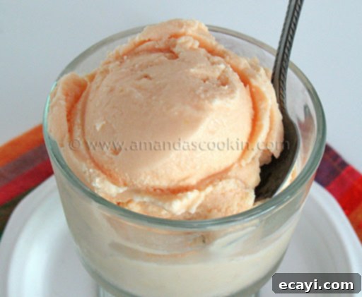 Creamy Orange Bliss 6 A vibrant close-up of a serving of homemade orange ice cream in a clear dish, presented with a spoon, highlighting its inviting color and smooth texture.