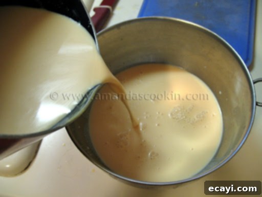 Creamy Orange Bliss 8 A photo showing the combined orange juice and condensed milk mixture being gently poured into a stainless steel bowl containing the whisked milk, cream, and extracts.